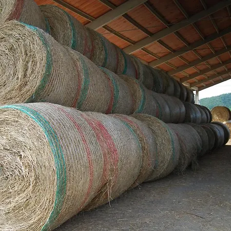Alojamento de Turismo Rural Sant'anna Pomarance