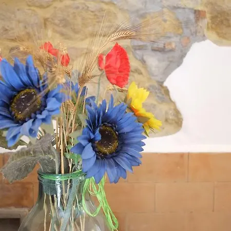 Farm stay Agriturismo Sant'anna Pomarance